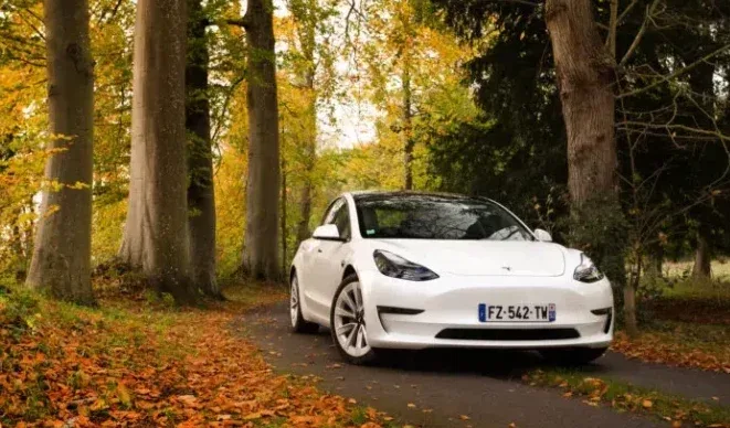 Tesla et automne : comment profiter de la saison en toute sérénité ?