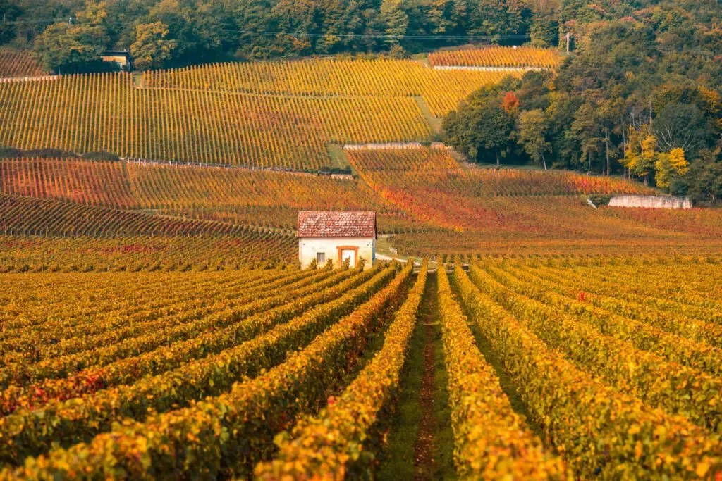 5 idées de roadtrips d’automne en France !