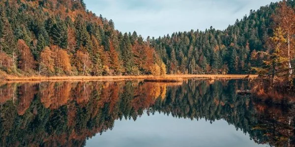 les vosges en automne 